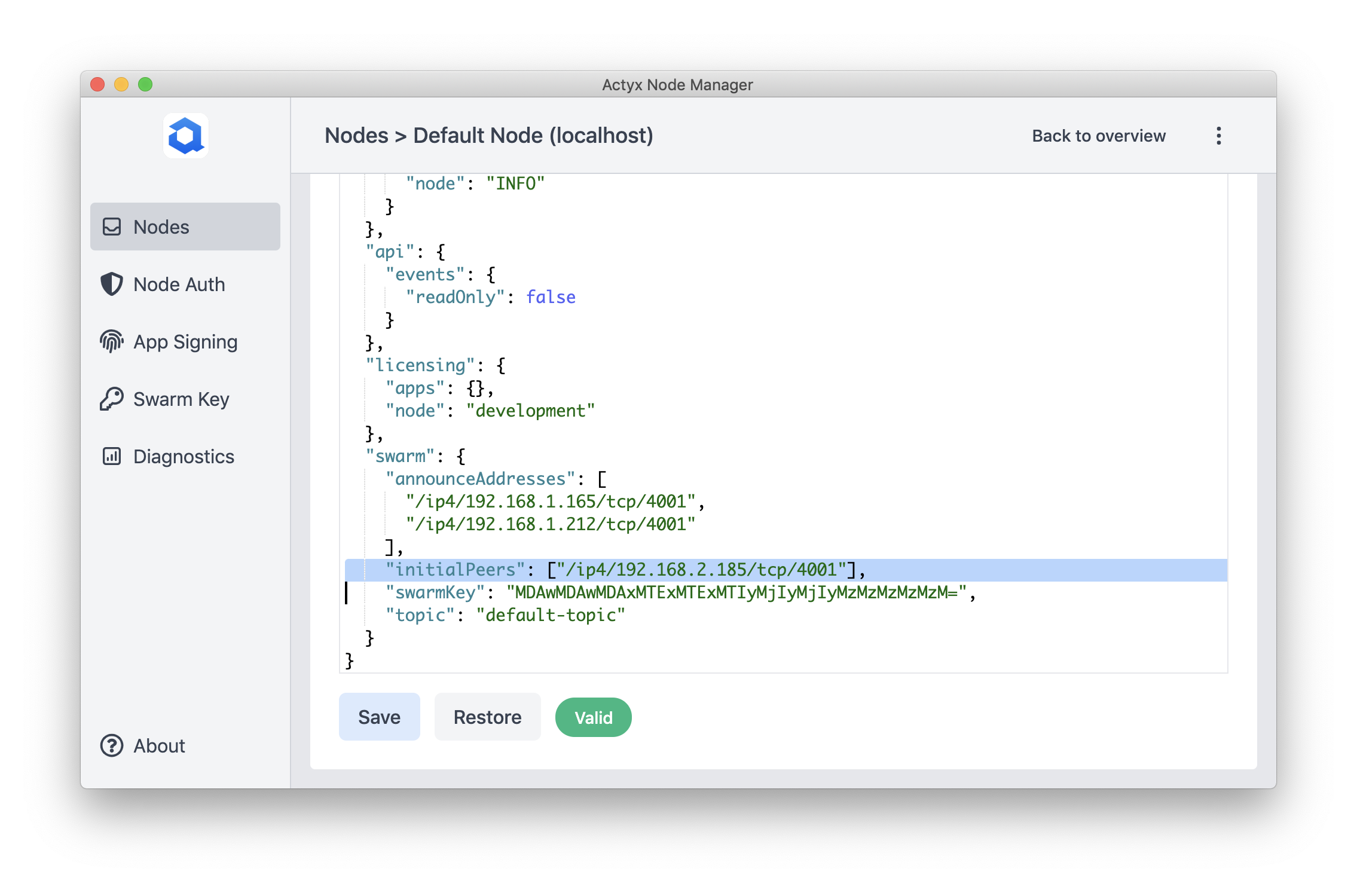 initial-peers-node-manager